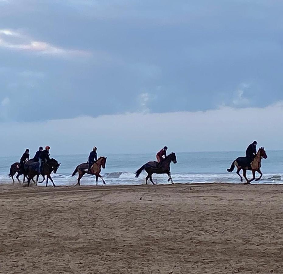 L'escale A Deauville